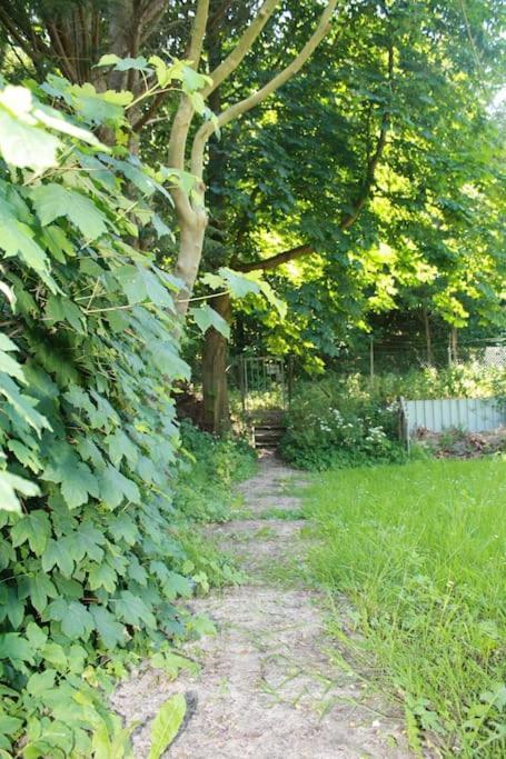 De Bosrand Grenzend Aan Het Bos Villa Castricum Exterior photo