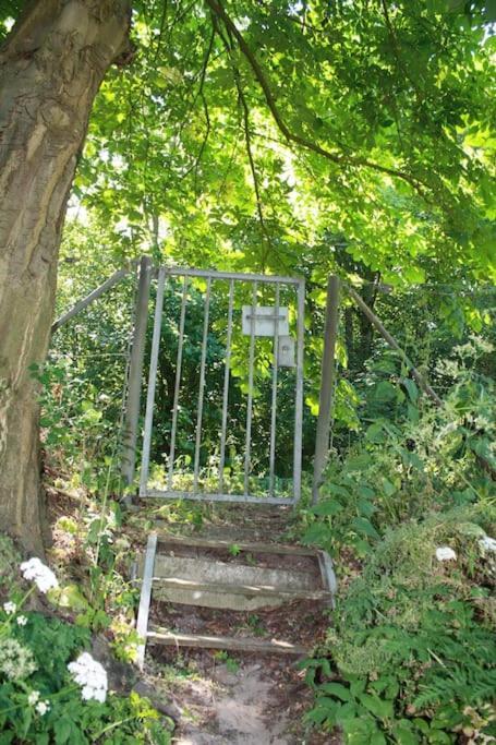 De Bosrand Grenzend Aan Het Bos Villa Castricum Exterior photo